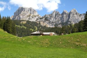 le Beaumont au pied de la Dent de Savigny