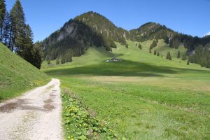 le Gros Mont