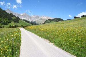 vue sur le Vanil Noir (au-dessus de Flendruz)