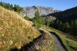bisse de Tsitorret