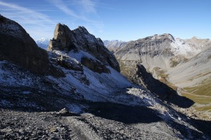 Nuseyhorn