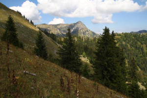 Le Moléson