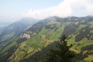 Rigi