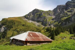 Walenalp