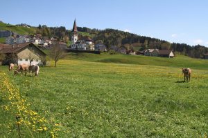 Haslen