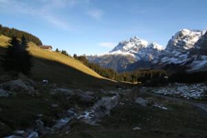 dans le vallon de Barme