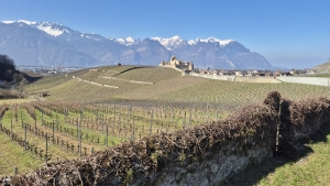 château d'Aigle