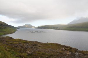 en route vers Tjørnuvik sur la route 594
