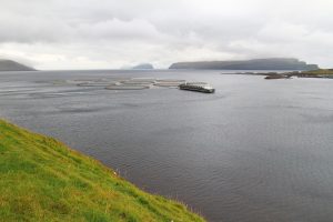 au bord de la route entre Sandur et Skálavík