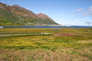 Siglufjarður
