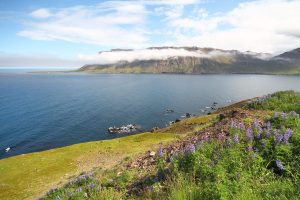 à la sortie de Siglufjarður