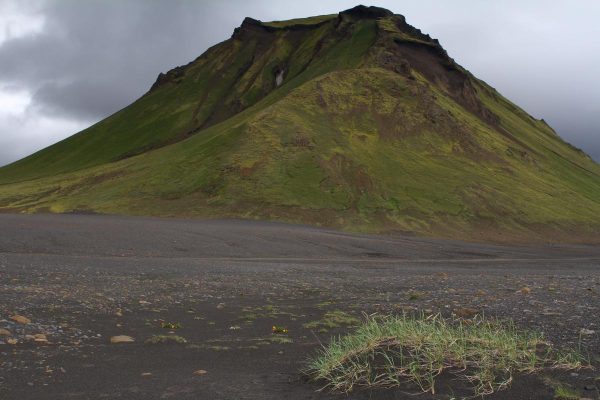  Halttfell 