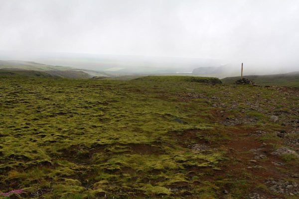 au loin on distingue l'océan  