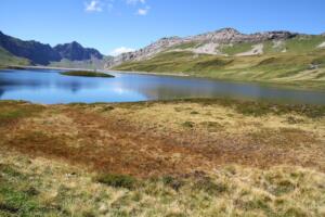 Tannensee
