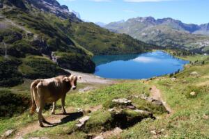 Engstlensee