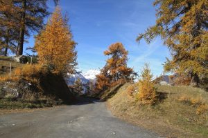 au col du Tronc