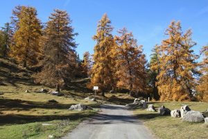 au col du Lein