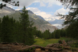 glacier d'Aletsch