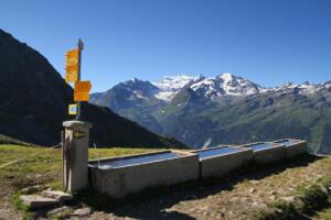 à l’alpage de La Chaux