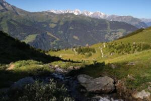 sur le sentier des chamois