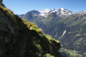 sur le sentier des chamois