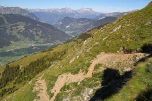 sur le sentier des chamois