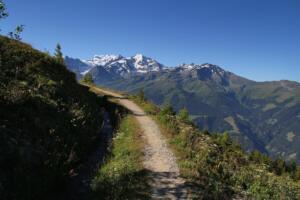 bisse de Leuvron et Grand Combin