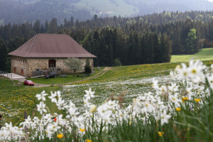chalet du Prantin
