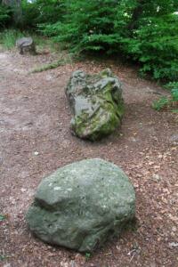 Pierre du Bois des Tattes