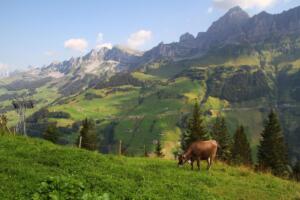 sur les haut du Schächental